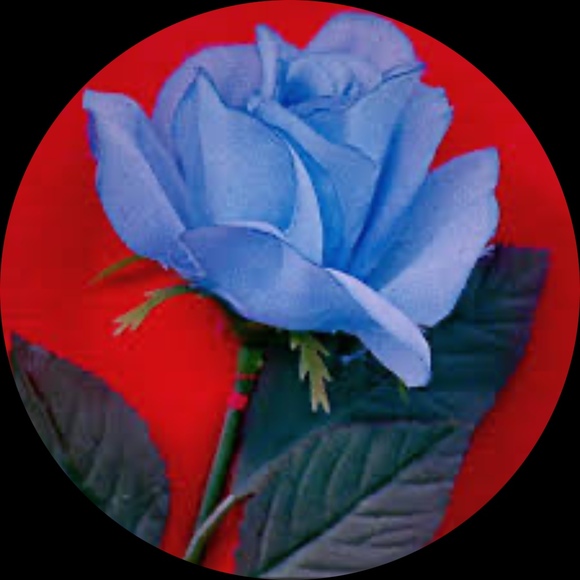 _thebluerose_